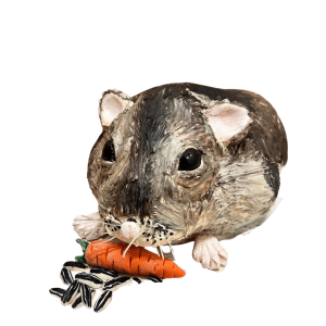 Plastic Moouse Cuo LS 5