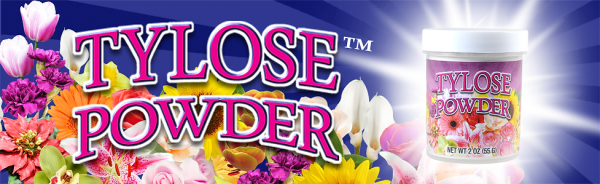 Tylose Powder 75 Grms