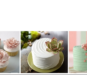 Wilton-Candy Colour Set-Garden