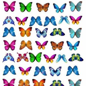 Ch Paper Butterfly Assorted Pkt