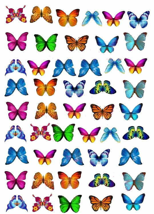 Ch Paper Butterfly Assorted Pkt